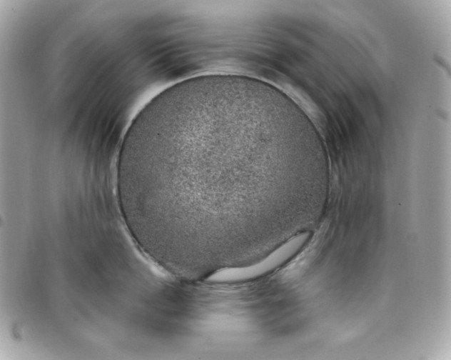 X0000097750862200803211650