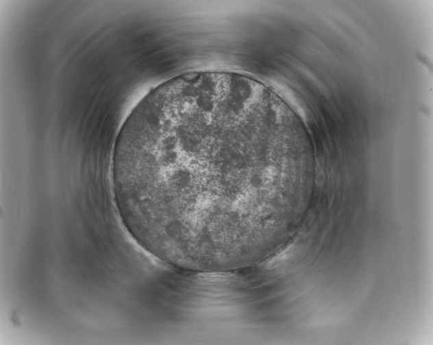 X0000097750863200803211650