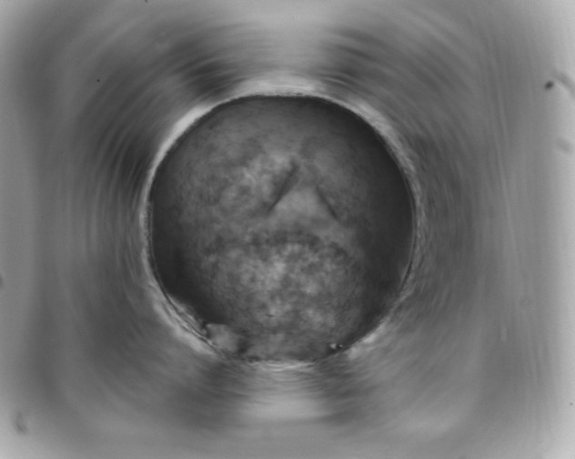 X0000097750864200803211650