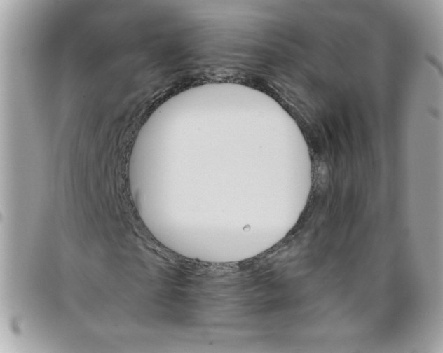 X0000097750865200803211650