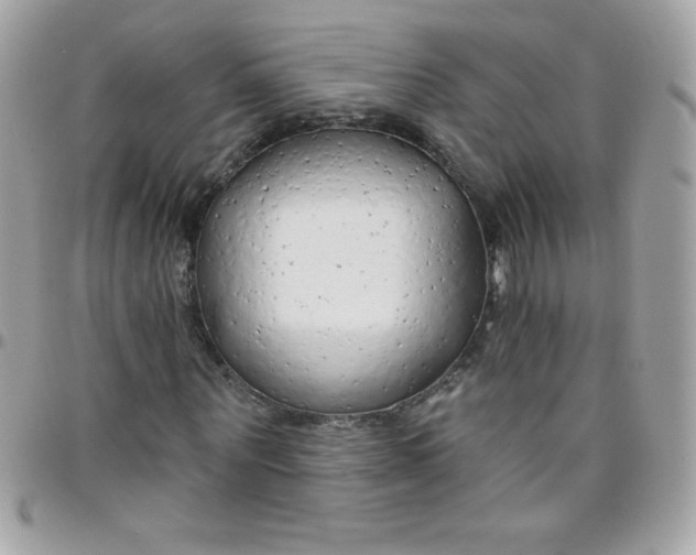 X0000097750867200803211650