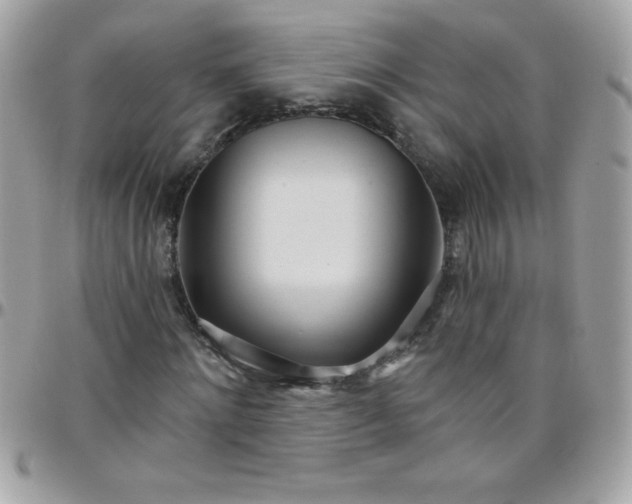 X0000097750868200803211650