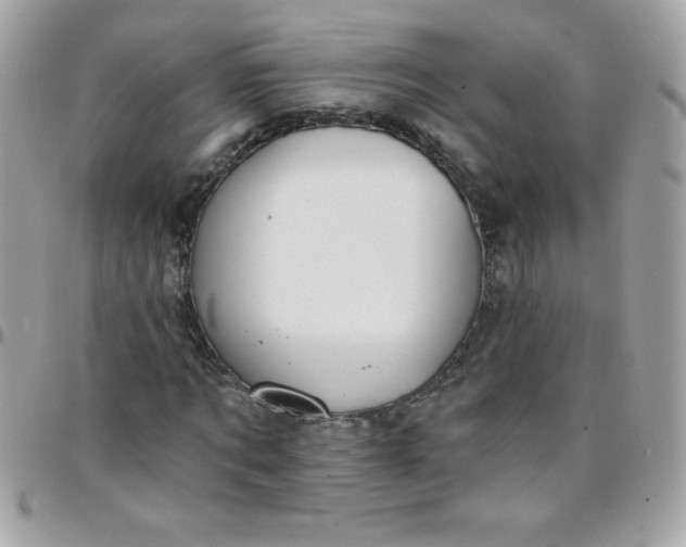 X0000097750869200803211650