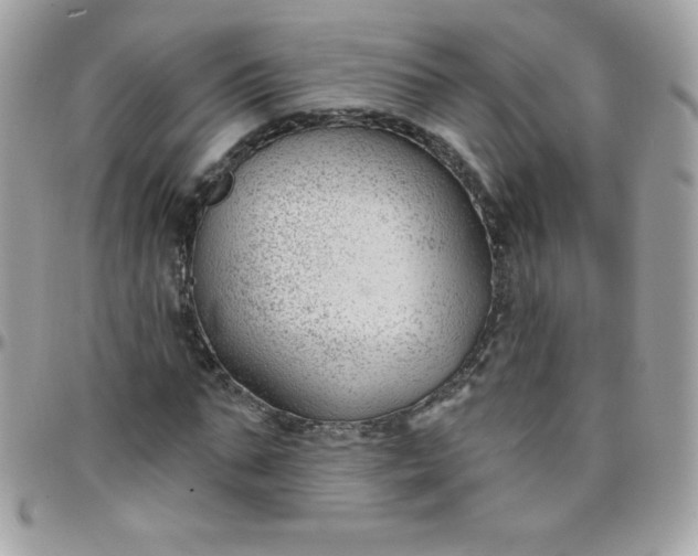 X0000097750871200803211650