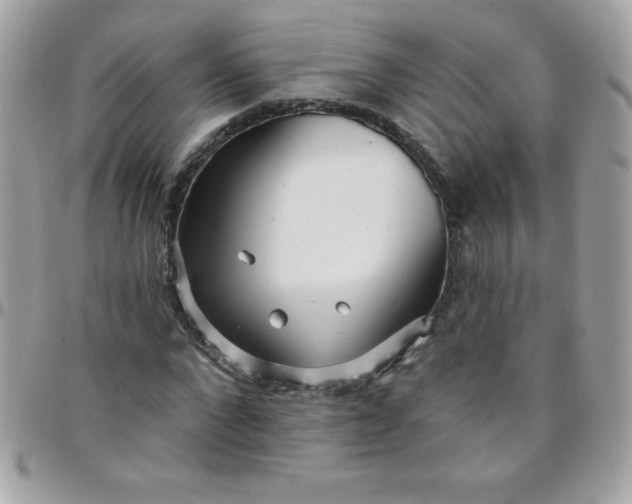 X0000097750872200803211650