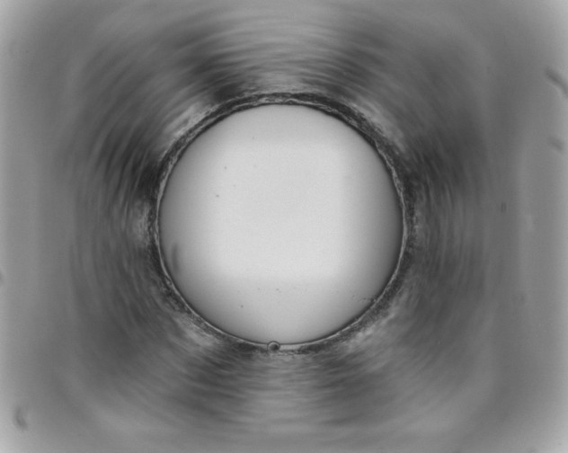 X0000097750873200803211649