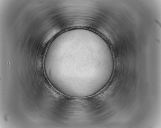 X0000097750874200803211649