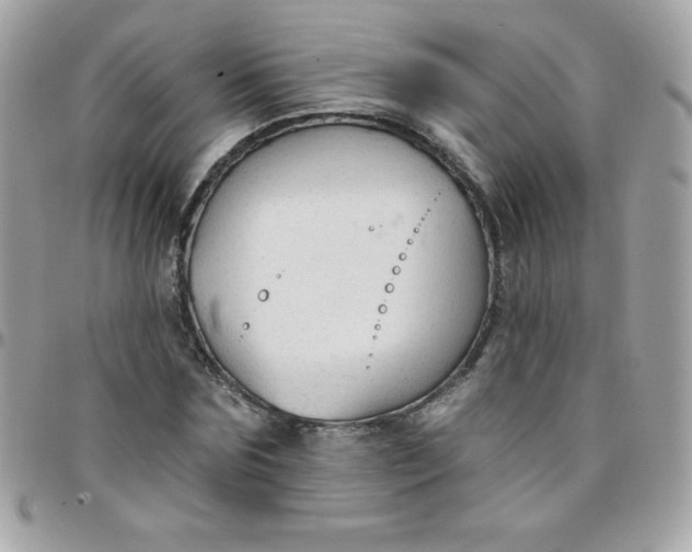 X0000097750875200803211649