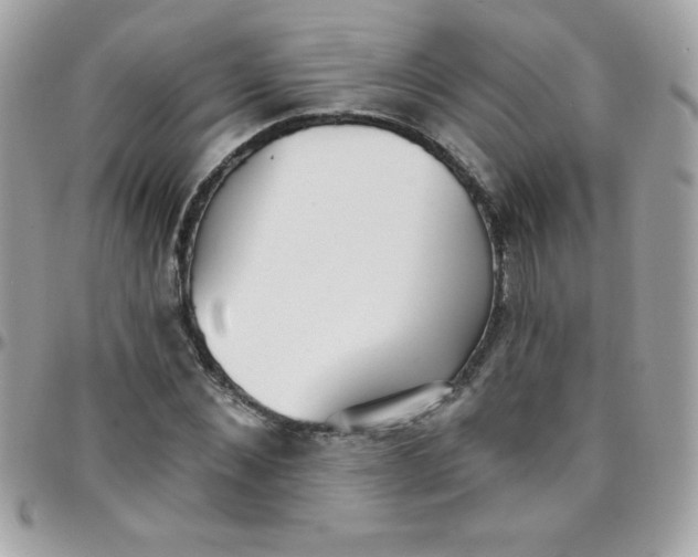 X0000097750876200803211649