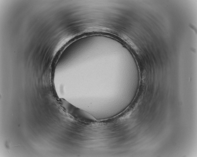 X0000097750877200803211649