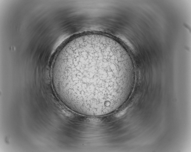 X0000097750878200803211649