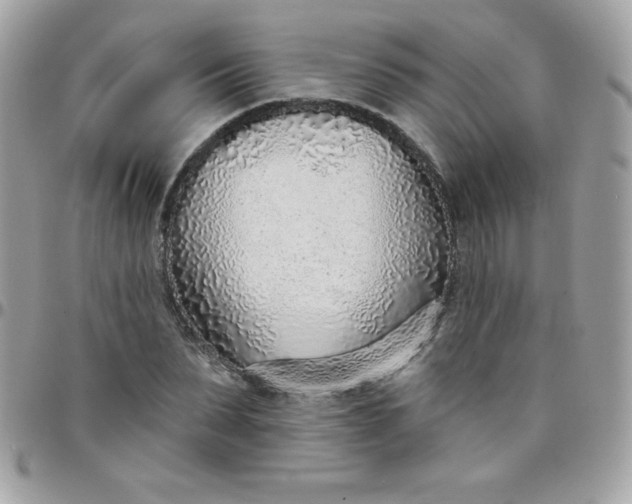 X0000097750879200803211649