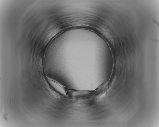 X0000097750881200803211649