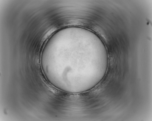 X0000097750882200803211649