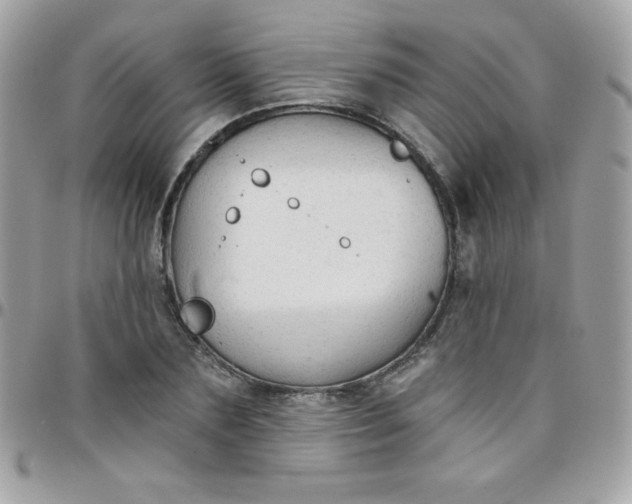 X0000097750883200803211649