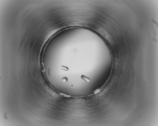 X0000097750884200803211649