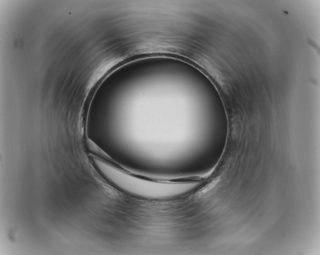 X0000097750885200803211649