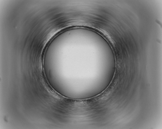 X0000097750887200803211649