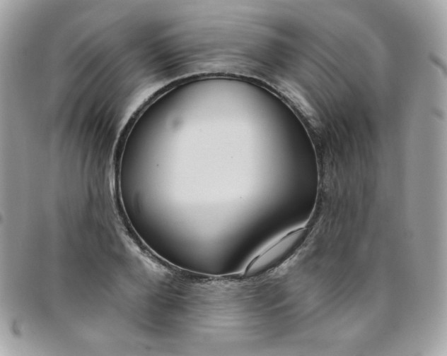 X0000097750888200803211649