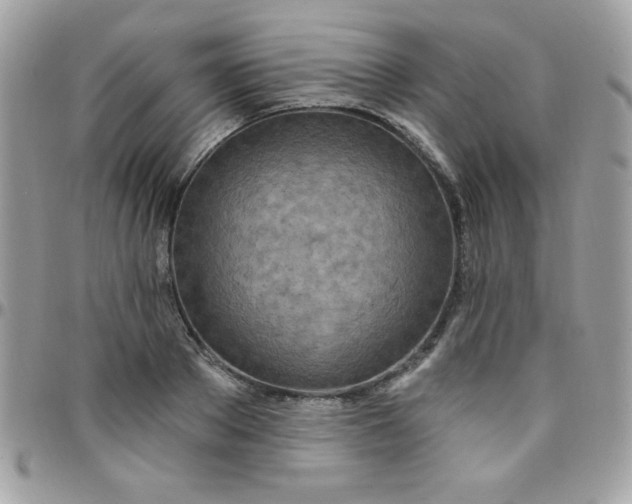 X0000097750889200803211649