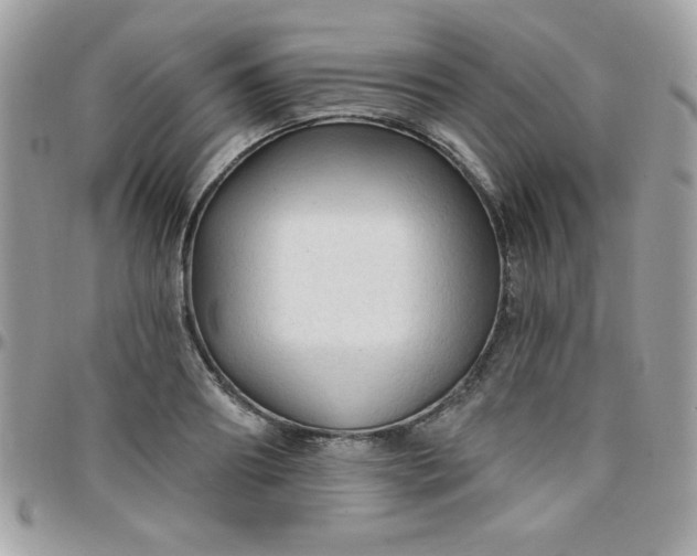 X0000097750890200803211649