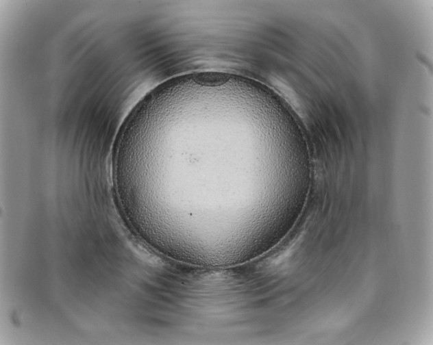 X0000097750891200803211649