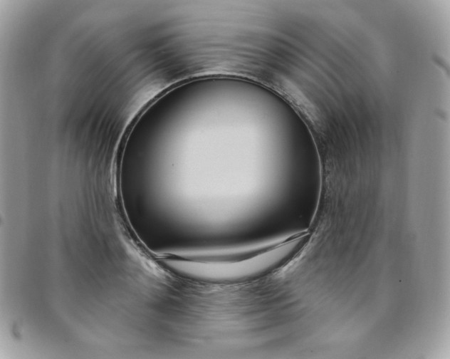 X0000097750892200803211649