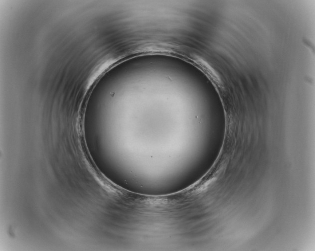 X0000097750893200803211649