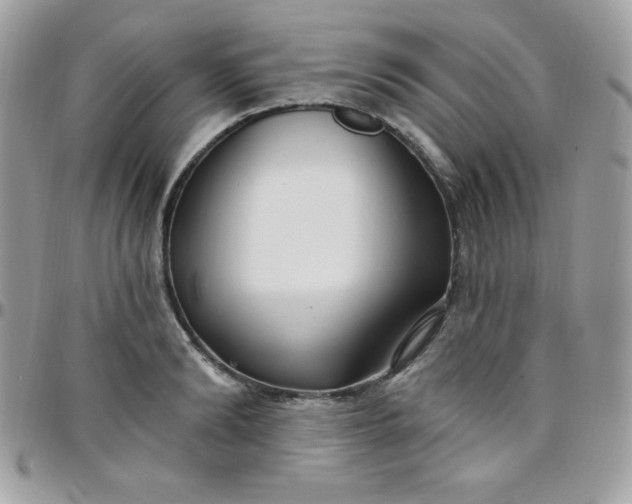 X0000097750894200803211649