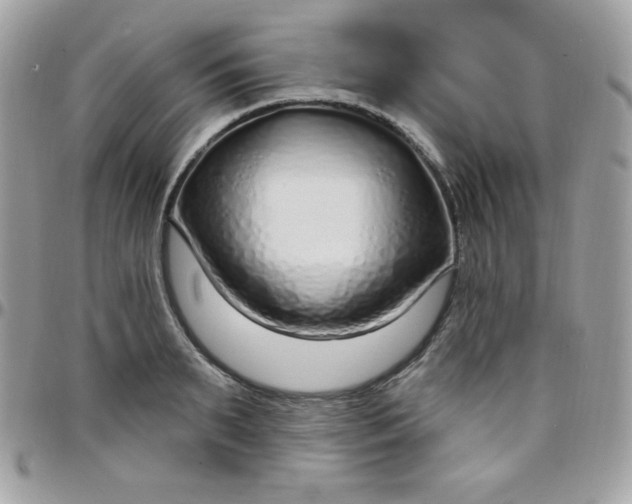 X0000097750895200803211649