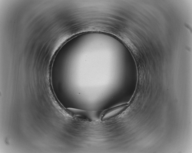 X0000097750896200803211649