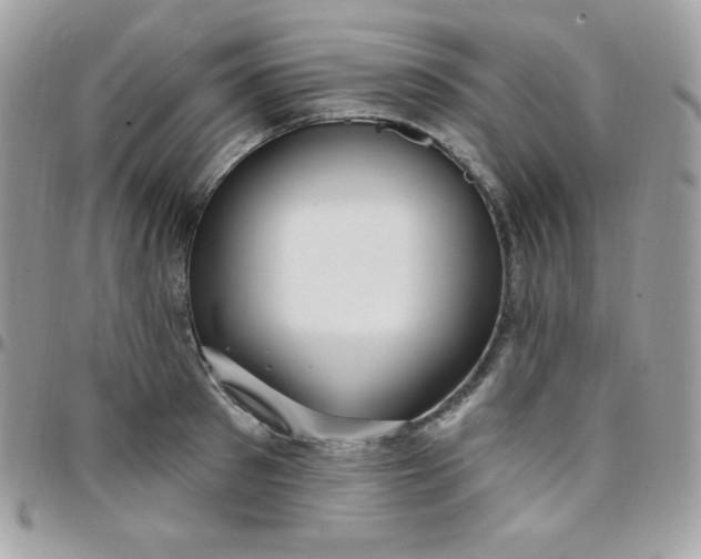 X0000097750897200803211649