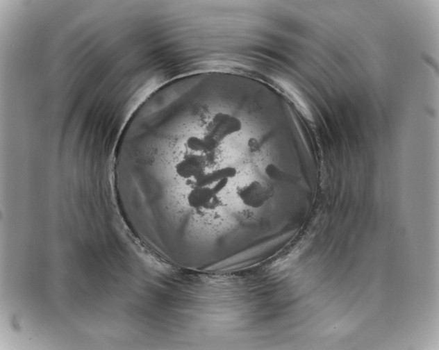 X0000097750899200803211649