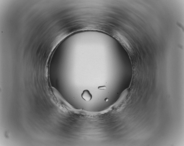 X0000097750900200803211649