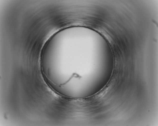 X0000097750902200803211649