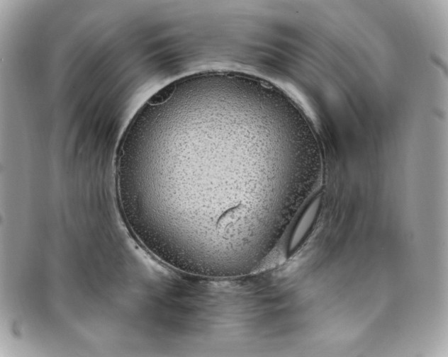 X0000097750903200803211649