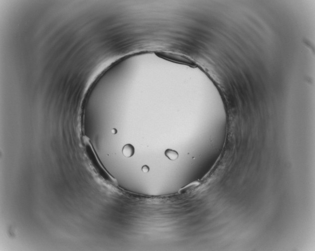 X0000097750904200803211649