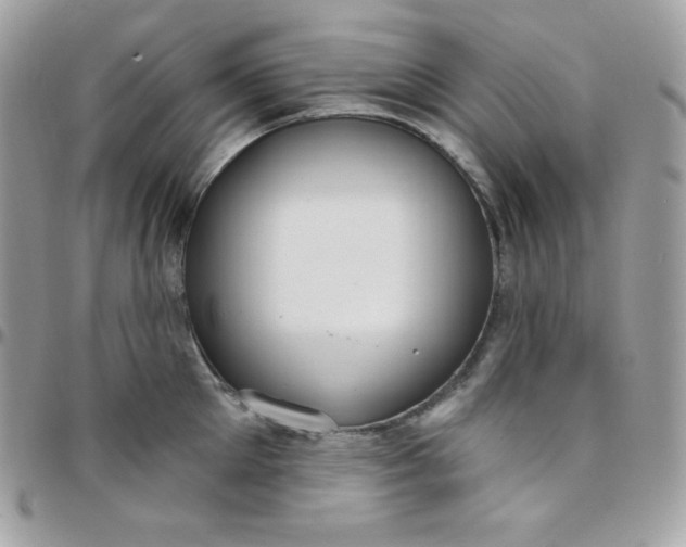 X0000097750905200803211649