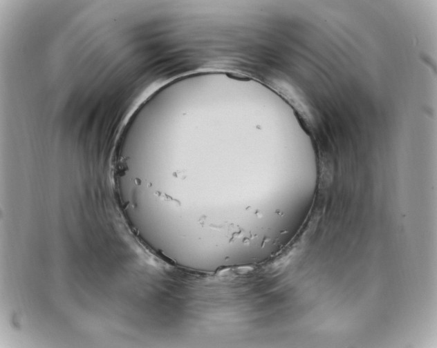 X0000097750908200803211649