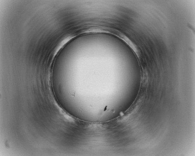 X0000097750909200803211649