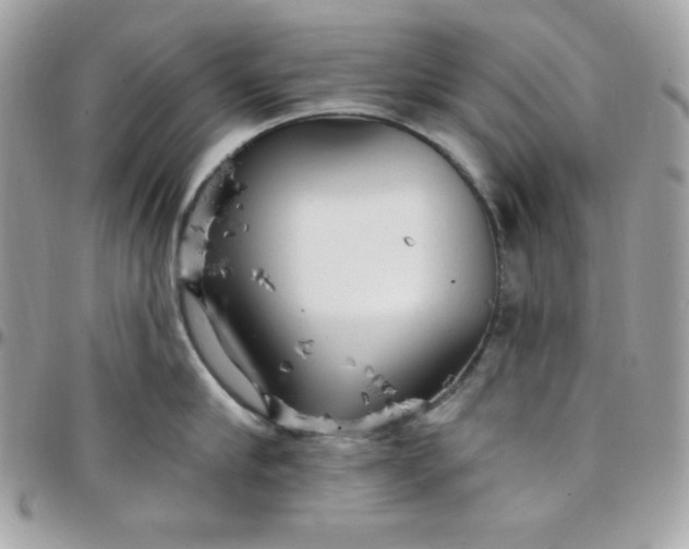 X0000097750910200803211649