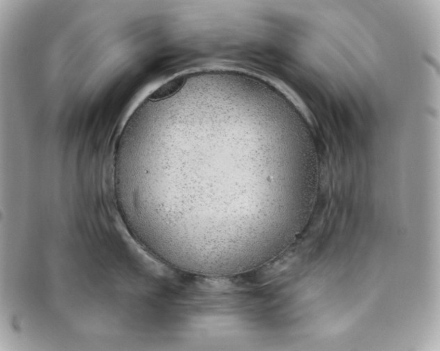 X0000097750911200803211649