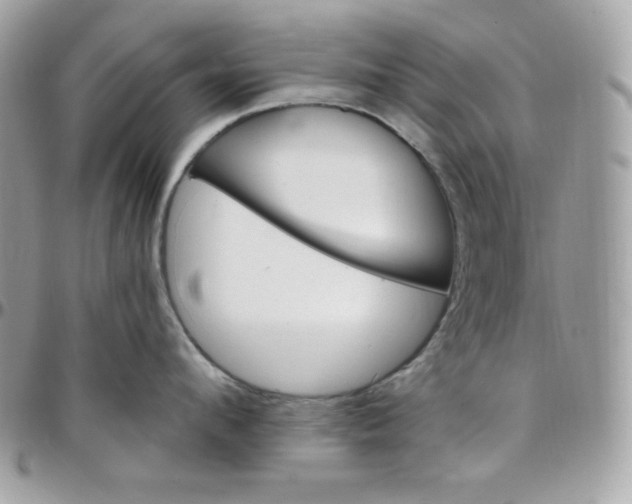 X0000097750912200803211649