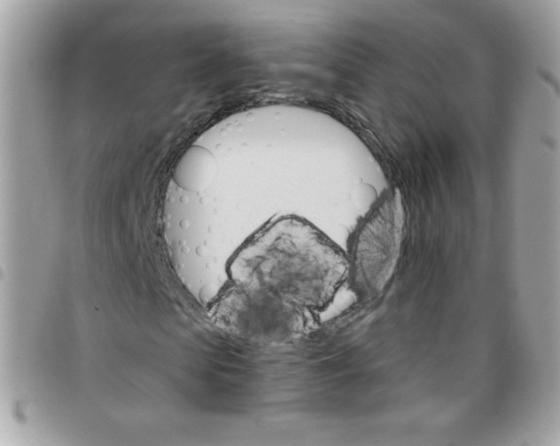 X0000097750913200803211648