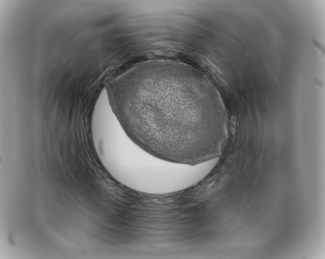 X0000097750915200803211648