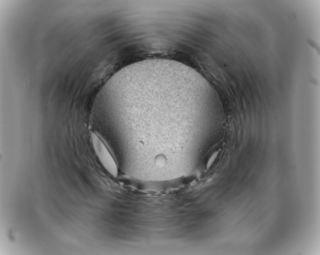 X0000097750916200803211648