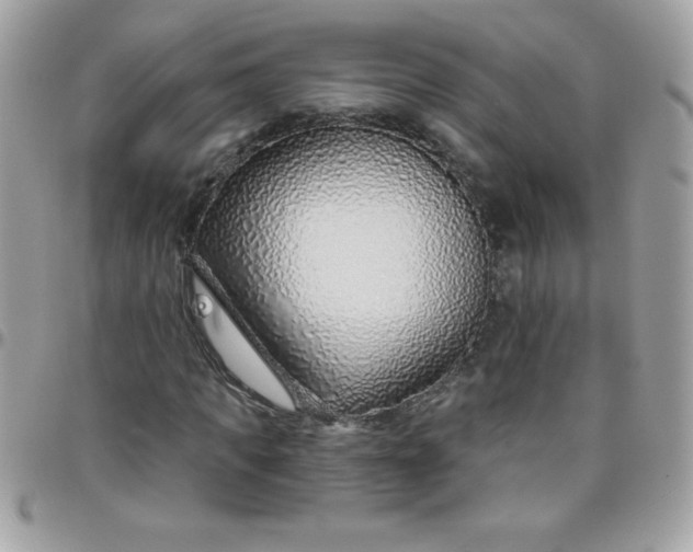 X0000097750917200803211648