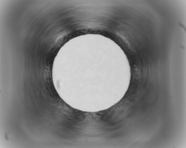 X0000097750918200803211648