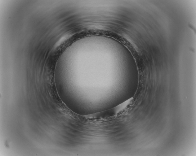 X0000097750919200803211648