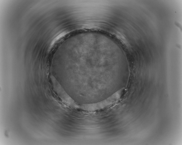 X0000097750920200803211648